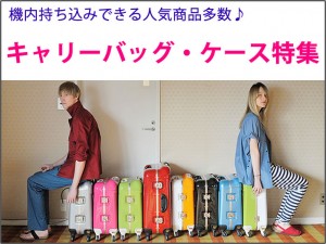 suitcase_currybag