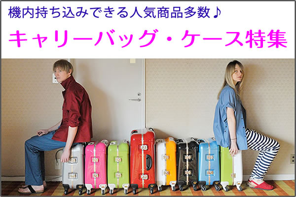 suitcase_currybag_2