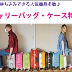 suitcase_currybag